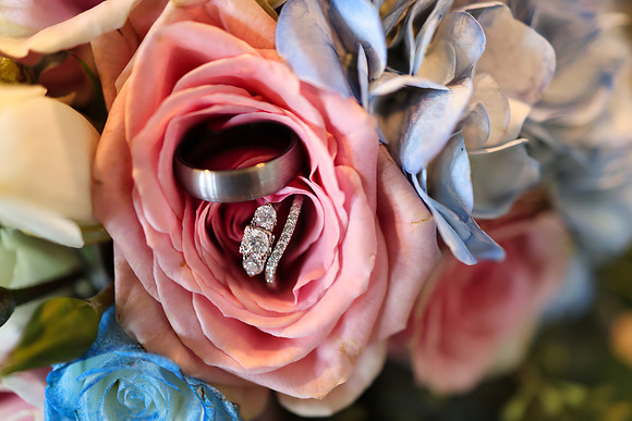 323A7564
